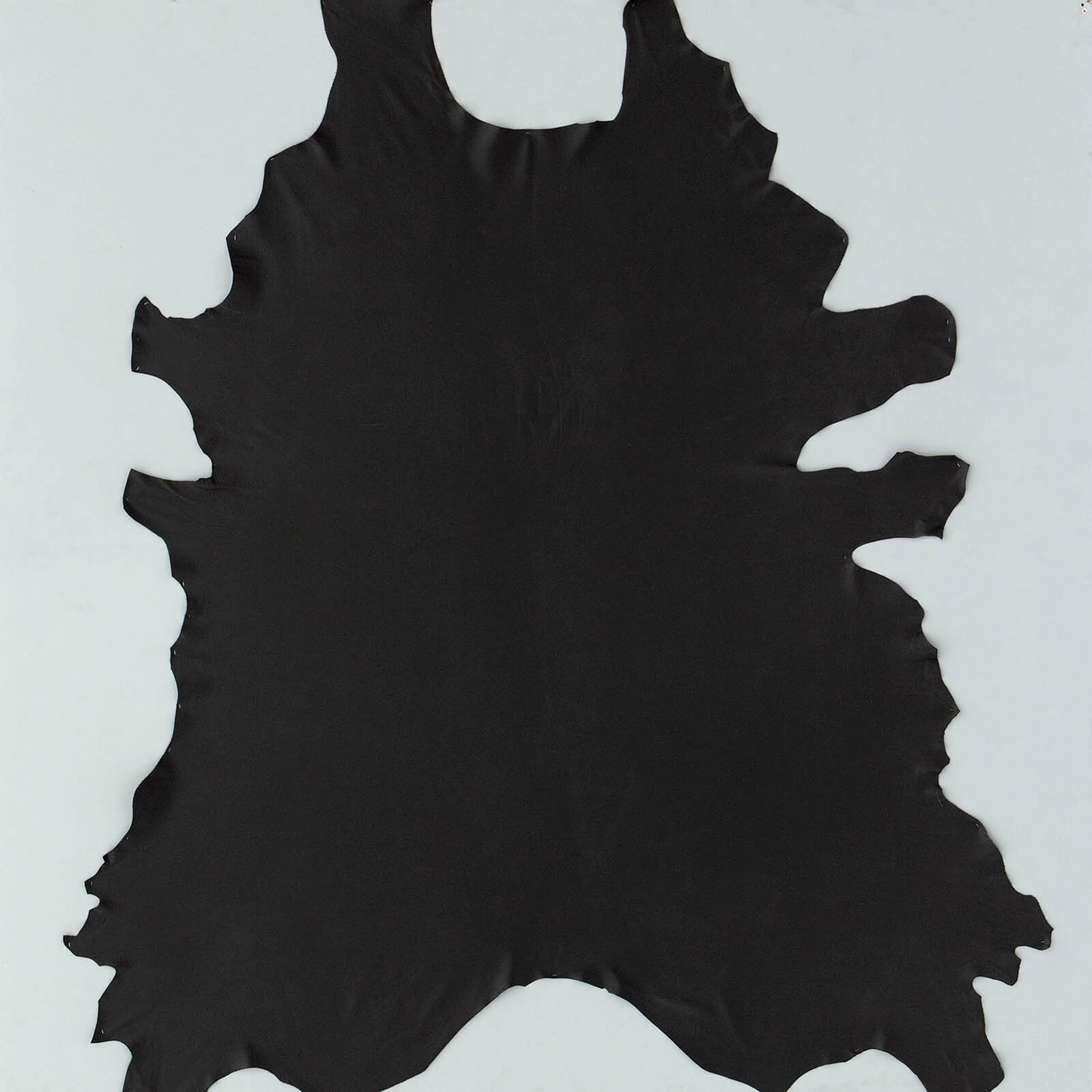 Casanova-Black-Rhino_PhotoofHide