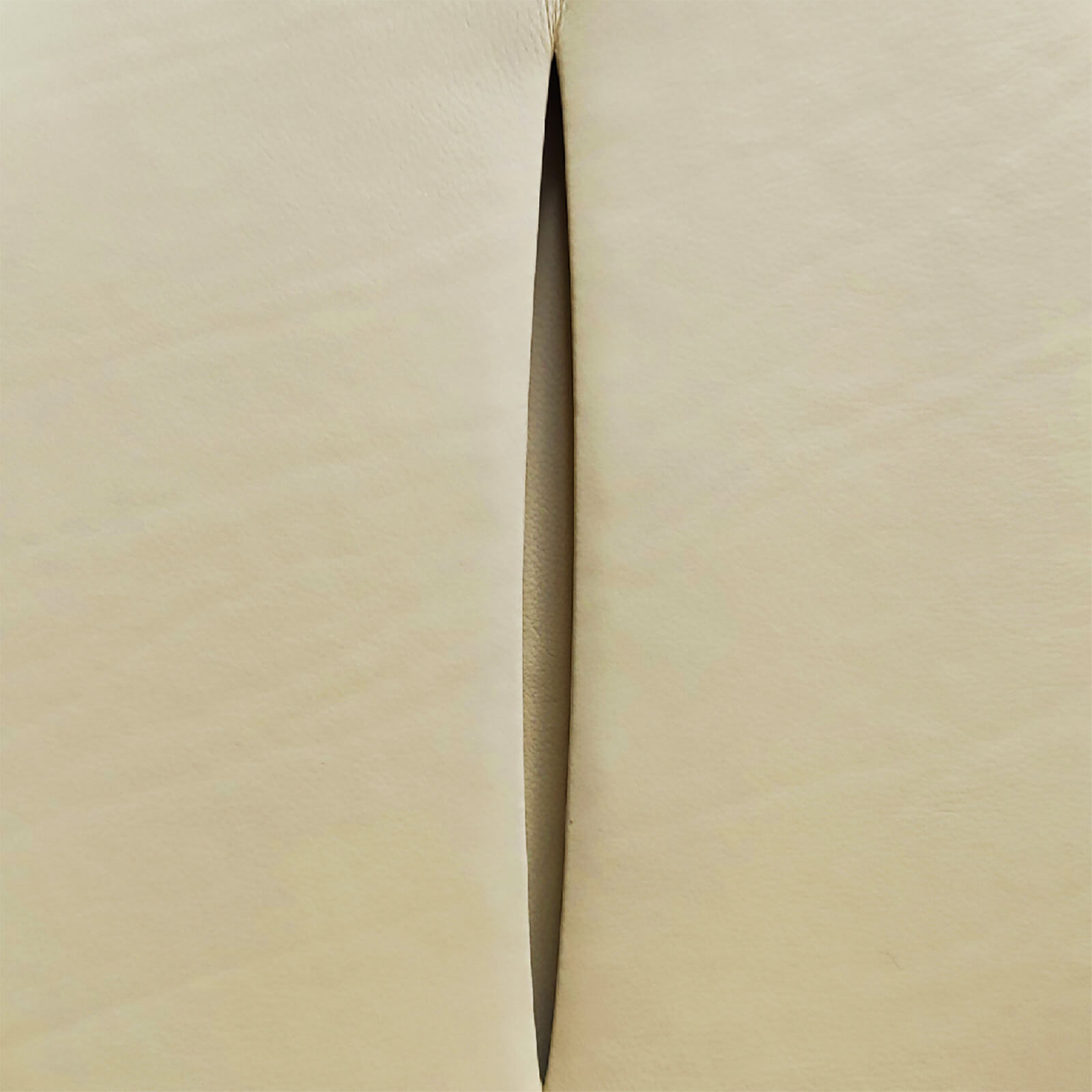 Casanova-Ivory_PhotoofMarks