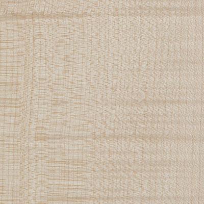 Natural Sycamore