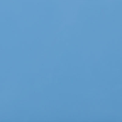 Florida Blue