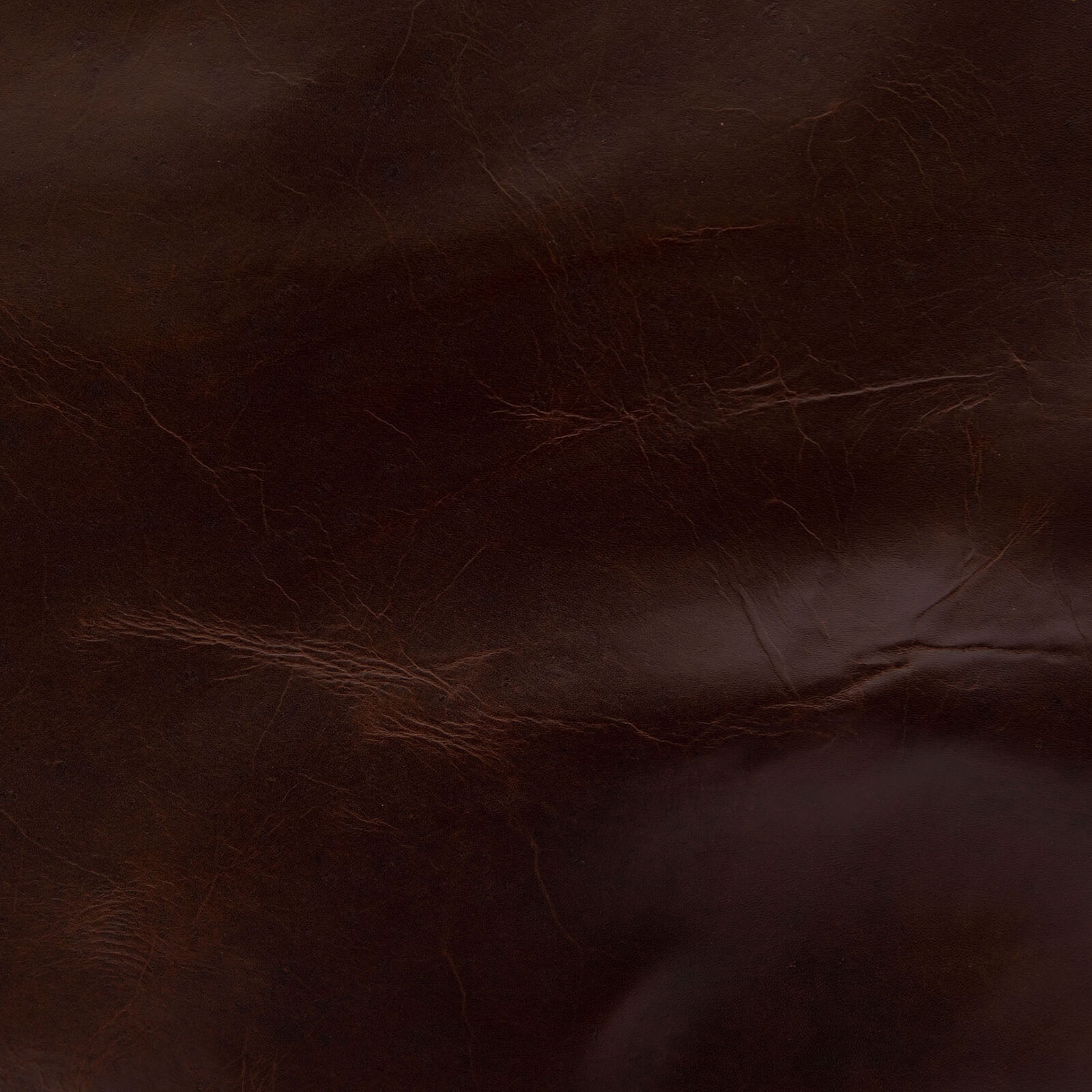 Guiliano-Mustang_PhotoofMarks