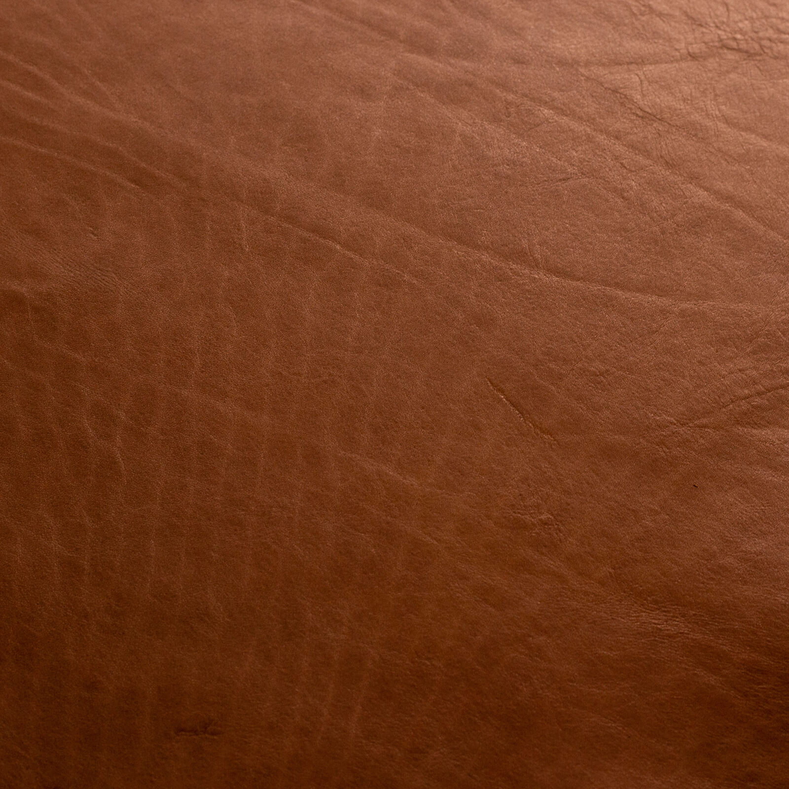 Guiliano-Rodeo_PhotoofMarks_6