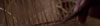 Christopher Guy: Rattan