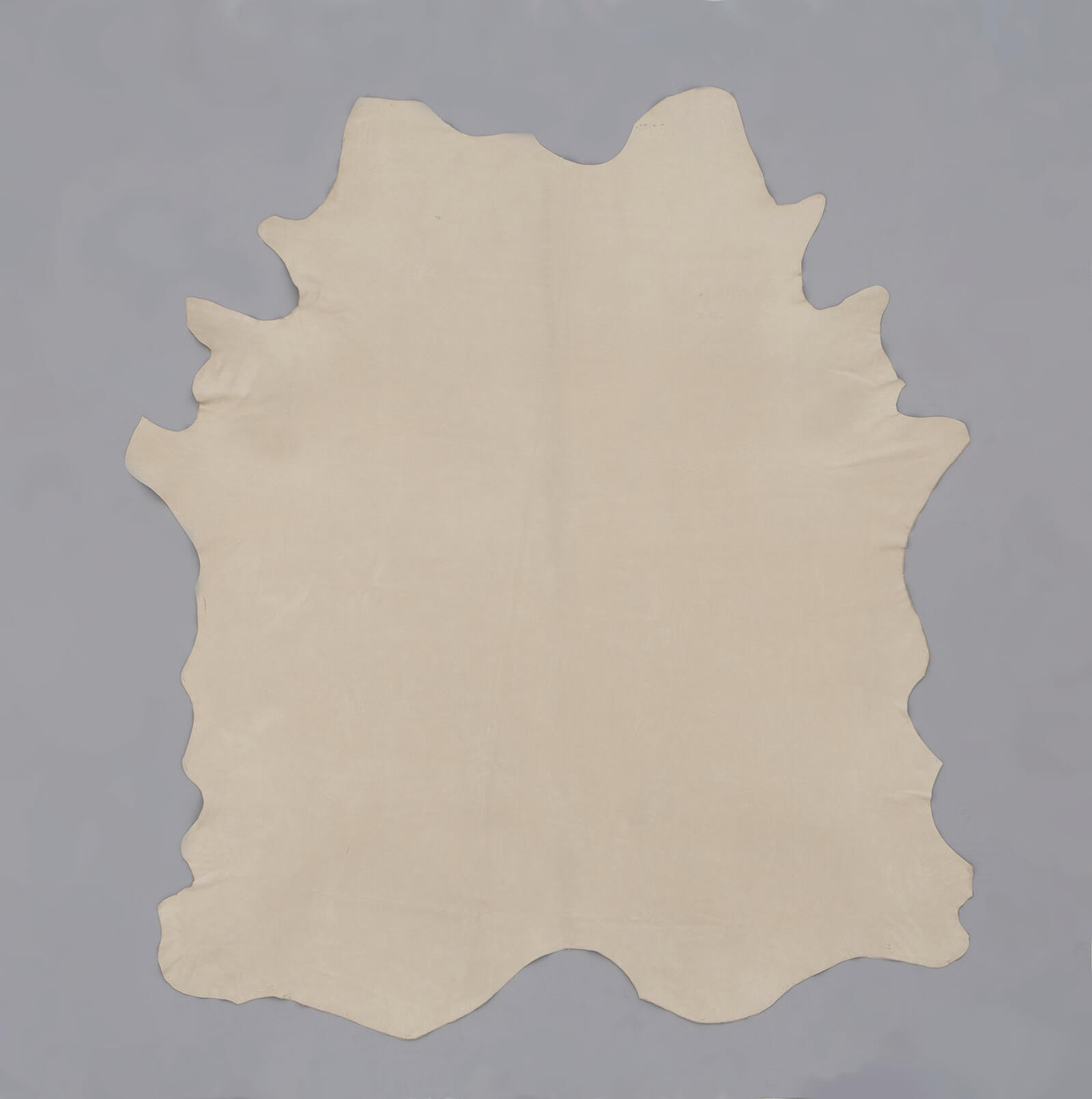 Navarra-Chalk_PhotoofHide